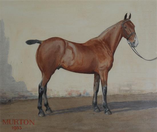English School Portrait of a Hunter Murton 51.5 x 61cm